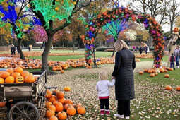 London Pumpkin Patch Transforms Parsons Green