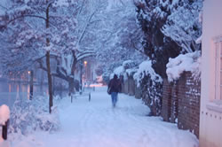 chiswick in the snow 2009