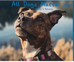 All Dogs Matter