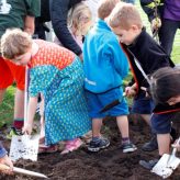 Little Green Fingers