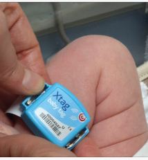 Baby tag at Chelsea and Westminster Hospital