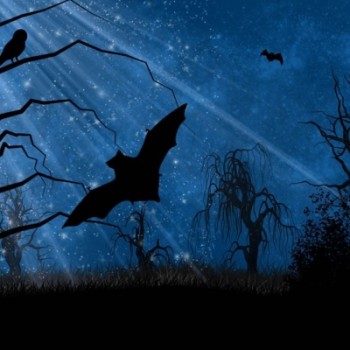 Bones, Bats and Bumps in the Night at Fulham Palace