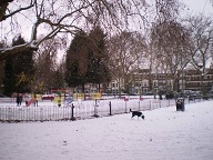Eel Brook Common in snow