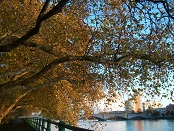Fulham riverside in Autumn