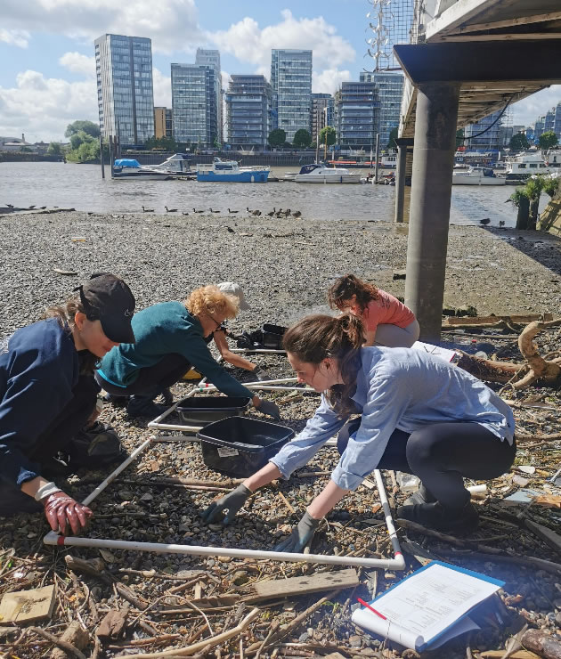 There are two days this month when you can come to the foreshore to help out 