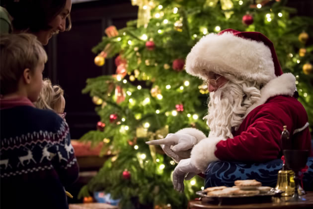 Santa at Fulham Palace. Picture: Johnathon Vines 