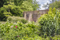 Fulham Palace Gains National Plant Collection Status