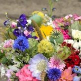 A Guide to Home-Grown Cut Flowers