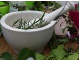 Herbal Sanctuary Talk at Fulham Palace