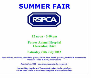 RSPCA Putney Summer Fair
