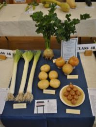 Vegetables on show at Fulham Horticultural Society's Autumn Show