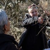 Wisteria pruning talk at Fulham Palace