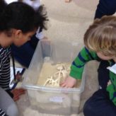 Young Archaeologists Club at Fulham Palace