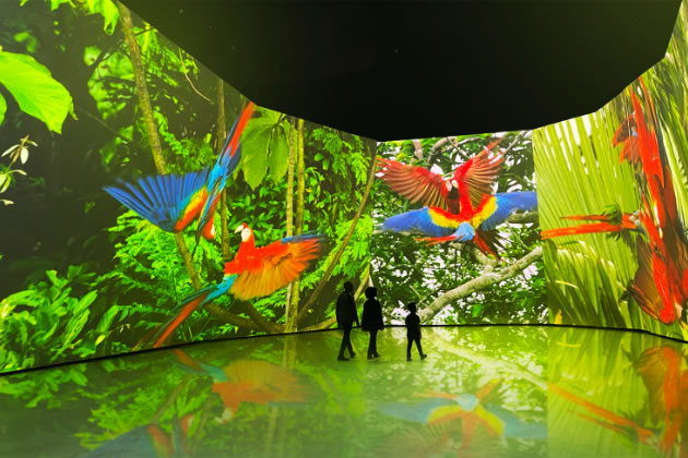 CGI of an exhibit inside the BBC Earth Experience . Picture: BBC Earth Experience 