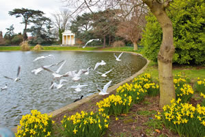 image of Funnersbury park showing the lake