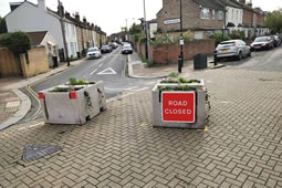 Mayor Urged to 