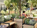 Parklets in  Hammersmith Grove