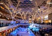 Westfield Ice Rink